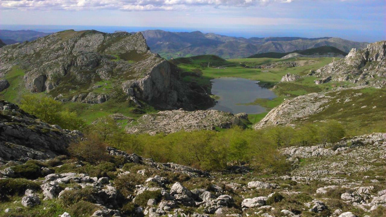 Hotel Fitu Колунга Екстериор снимка
